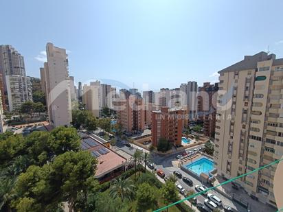 Vista exterior de Estudi en venda en Benidorm amb Piscina