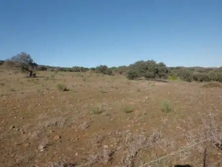 Residential land for sale in Fuente Obejuna, imagen 9
