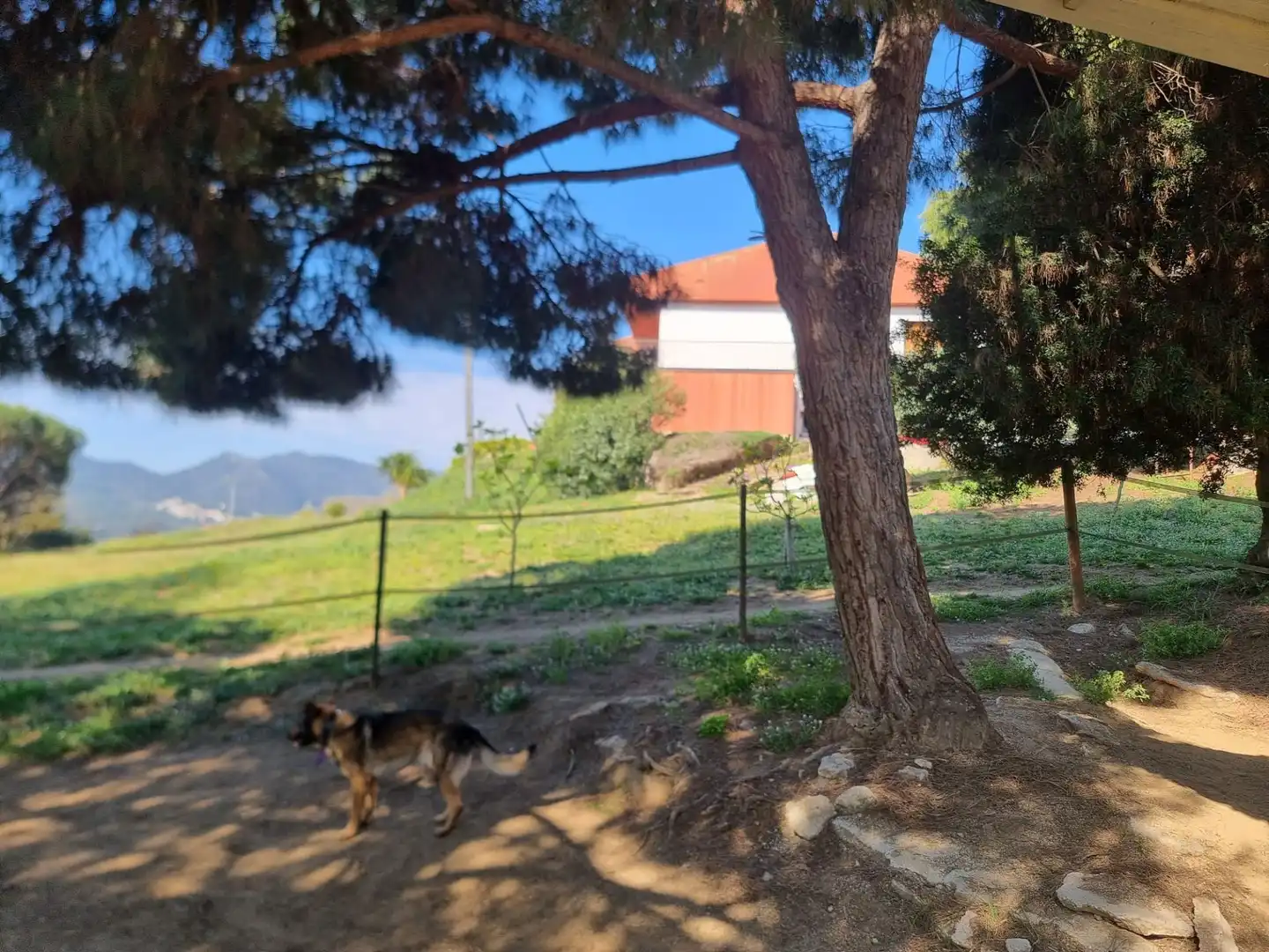 Casa o xalet en venda a Argentona Est