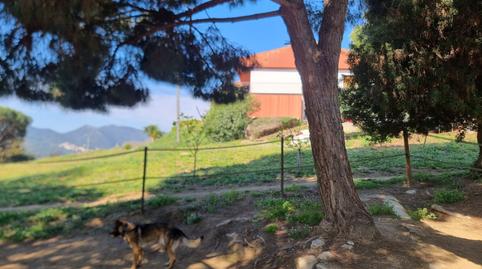 Photo 5 of House or chalet for sale in Argentona Est, Barcelona