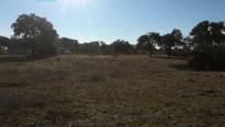 Finca rústica en venda en Badajoz Capital