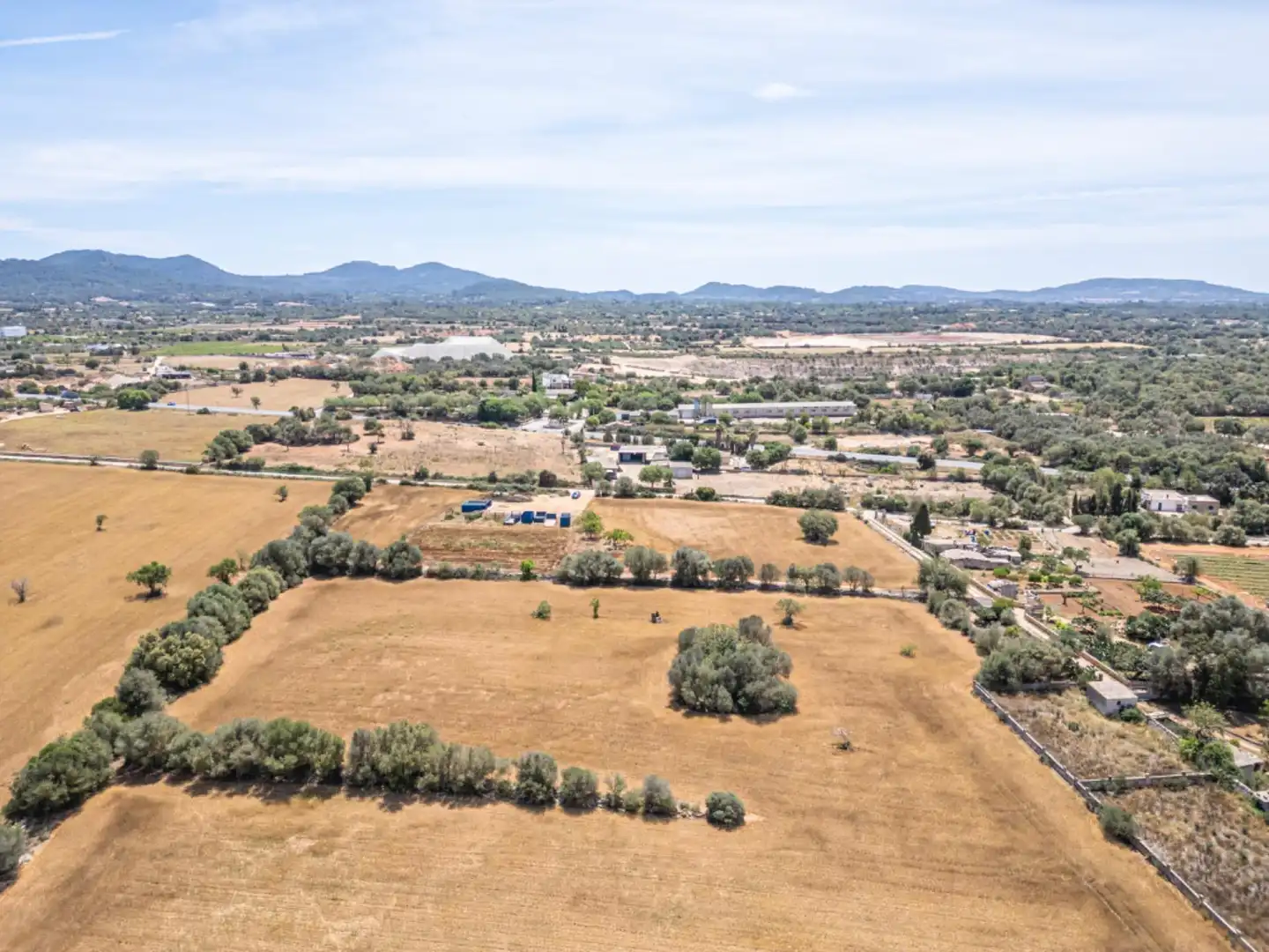 Terreno rustico in vendita a Felanitx Poble, imagen 8