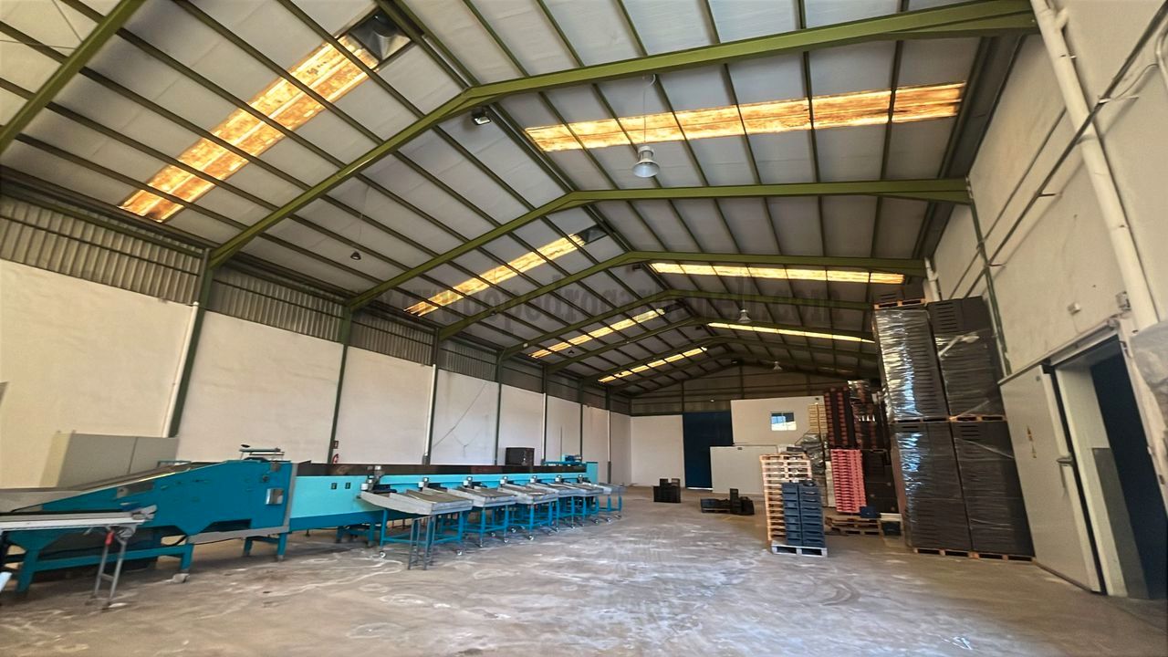 Industrial buildings to rent in Elche / Elx