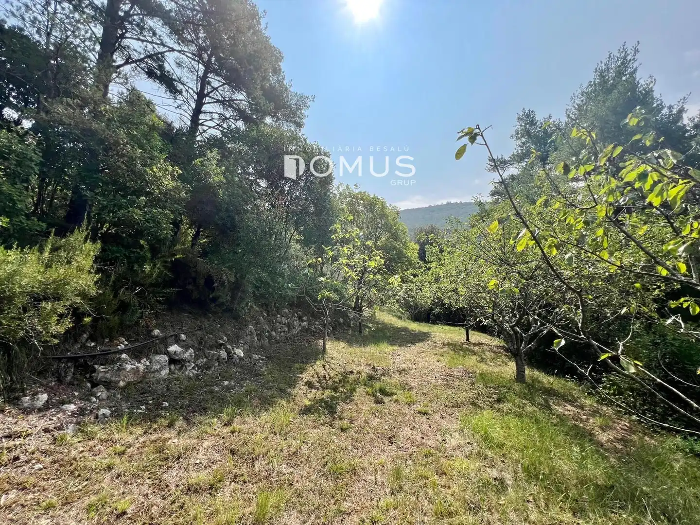 Residencial en venta en Sales de Llierca