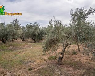 Land for sale in Las Gabias