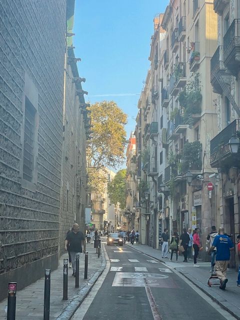 Piso en venta en Carrer de l'Hospital, 87, El Raval
