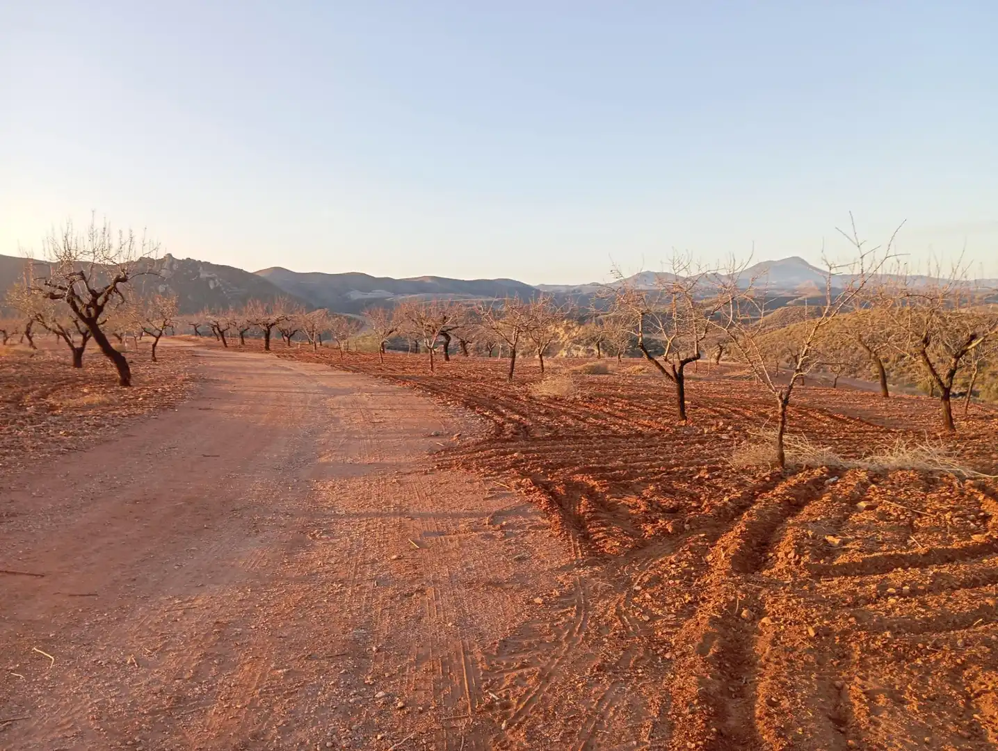 Houses for sale in Bejar