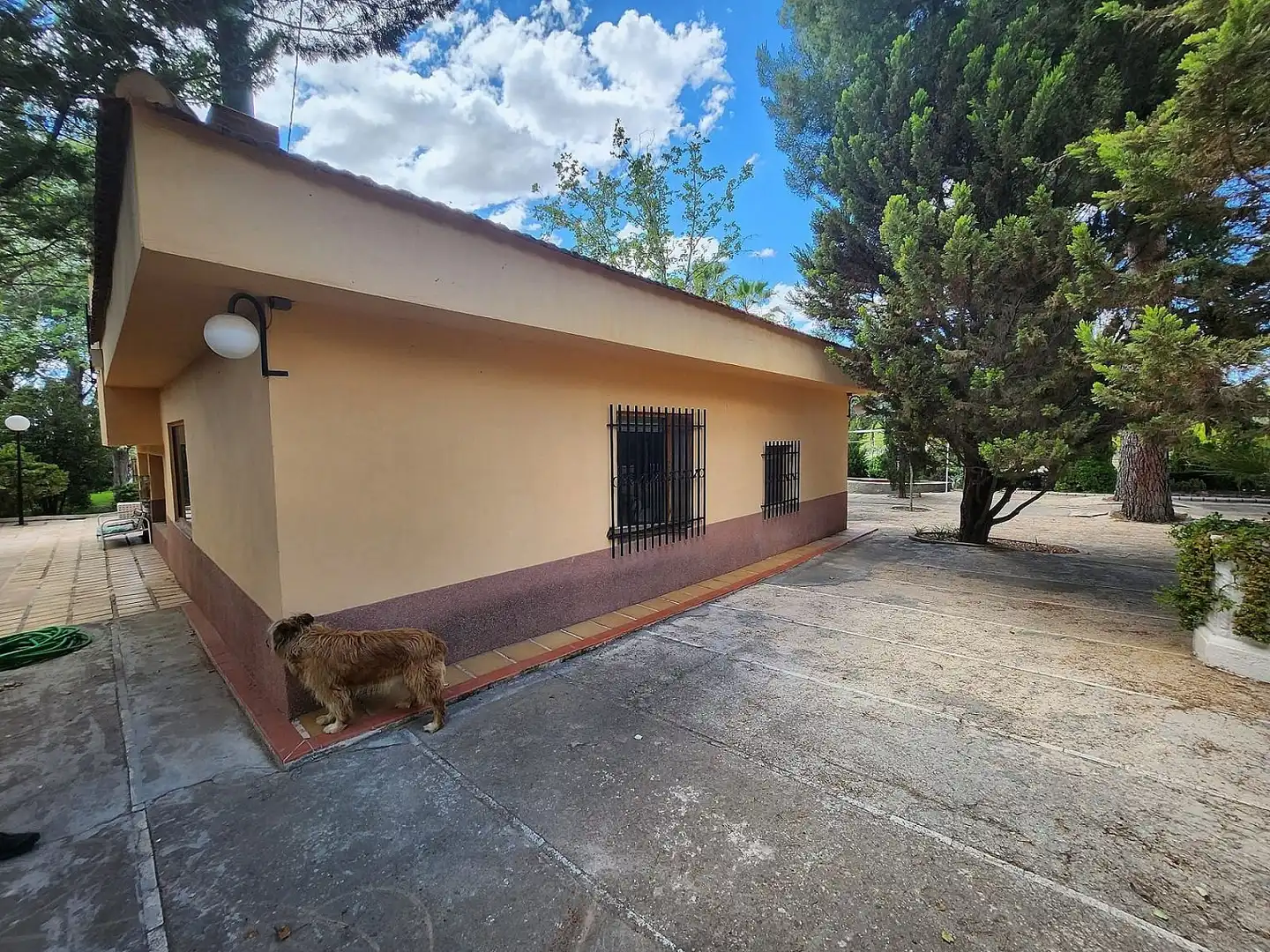 Casa en venta en Sax, imagen 7
