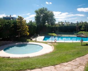 Swimming pool of House or chalet to rent in  Madrid Capital  with Air Conditioner, Private garden and Parquet flooring