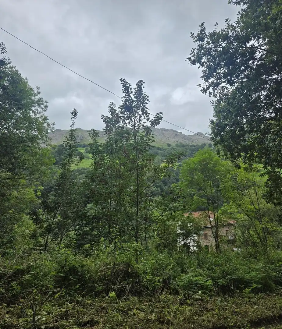 Chalet en venta en Liérganes, imagen 5