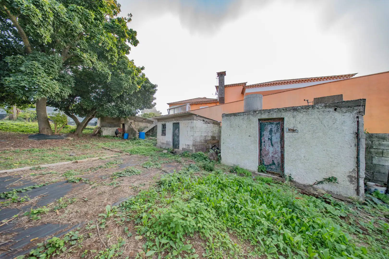 Casa o chalet en venta en Tacoronte