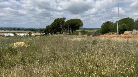 Foto 4 de Terreny industrial en venda a  Esganyadora, Riells, Girona