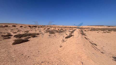 Photo 3 of Land for sale in  Polígono 6 Parcela 227 Rosa Vieja. la Oliva (las , Vejer, Cádiz