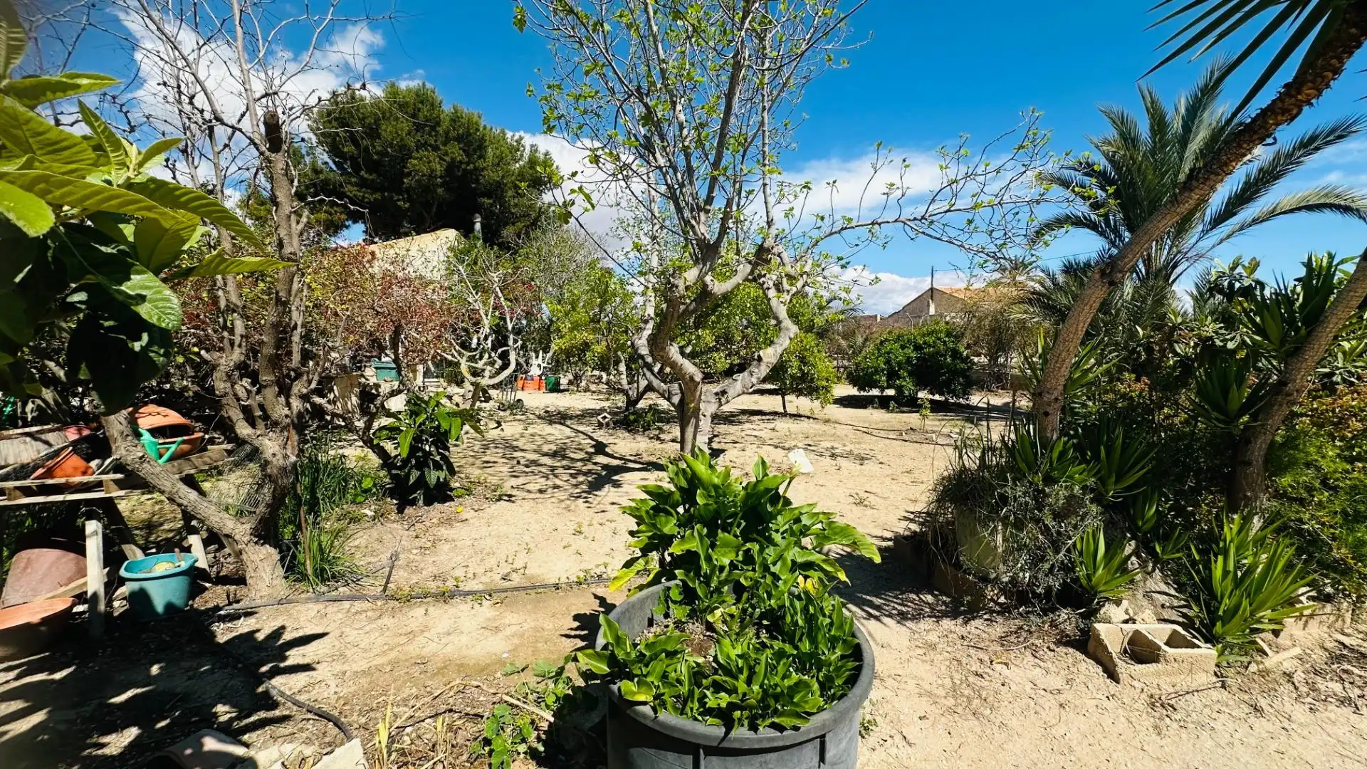 Jardí de Casa o xalet en venda en Elche / Elx amb Jardí privat, Traster i Piscina