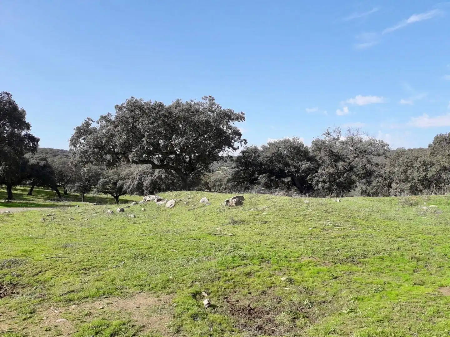 Rural land for sale in Fuente Obejuna, imagen 2