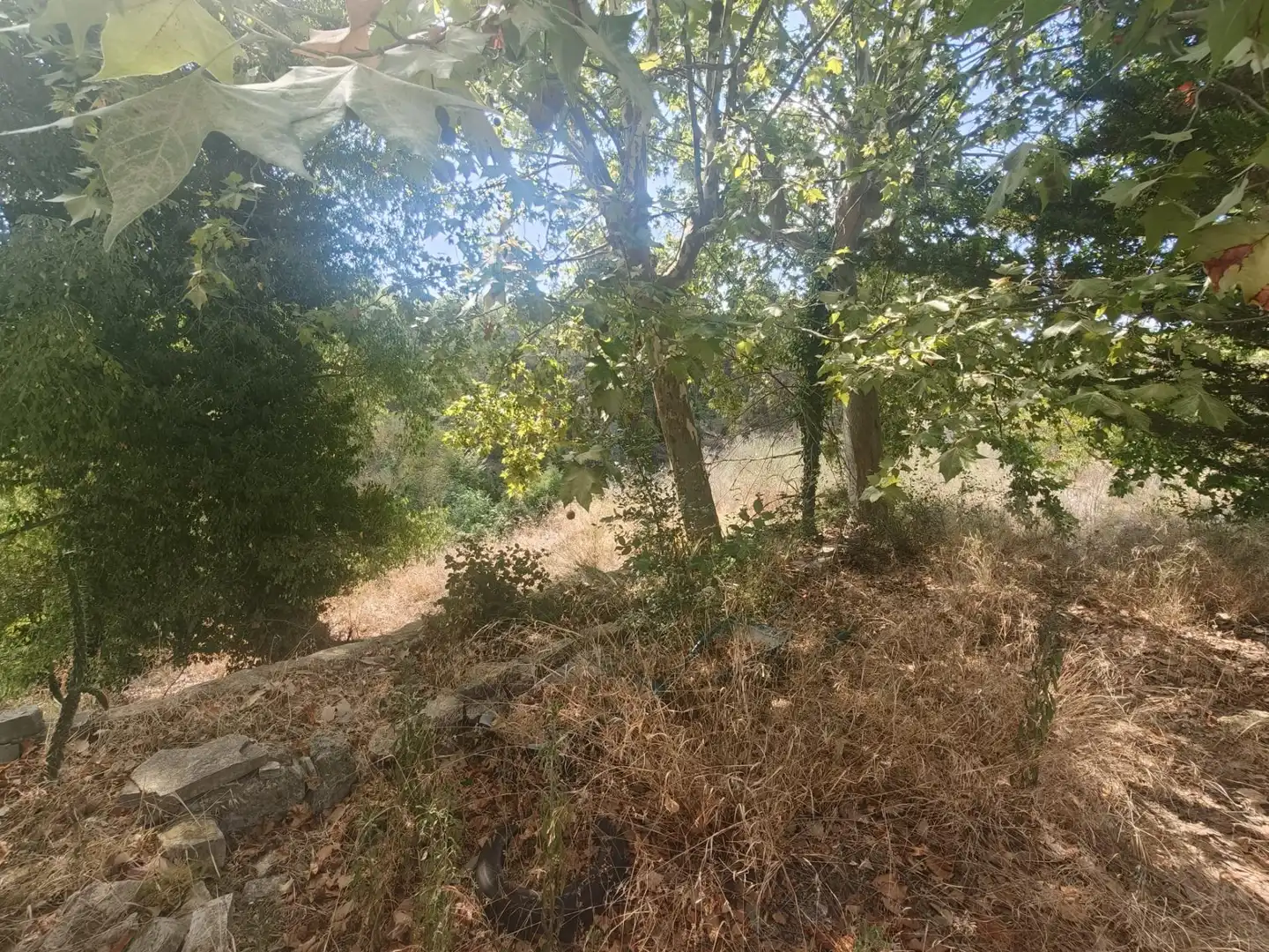 Casa con piscina en venta en CAL PONS, imagen 74
