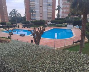 Piscina de Apartament en venda en Benidorm