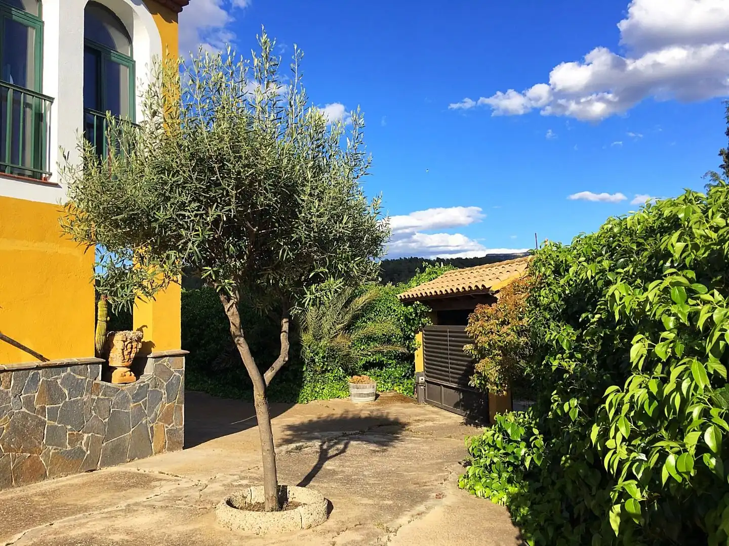 Garden of Houses for sale in Els Guiamets