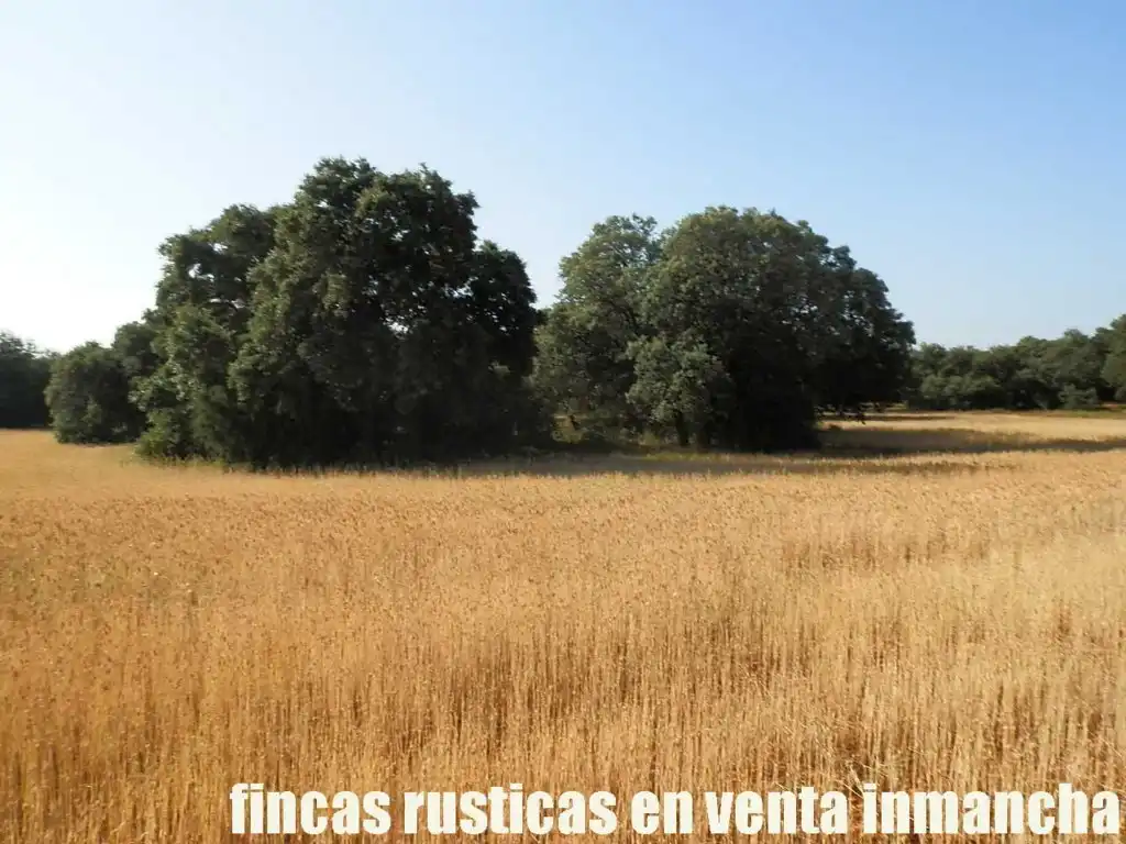 Terreno en venta en Alcaraz
