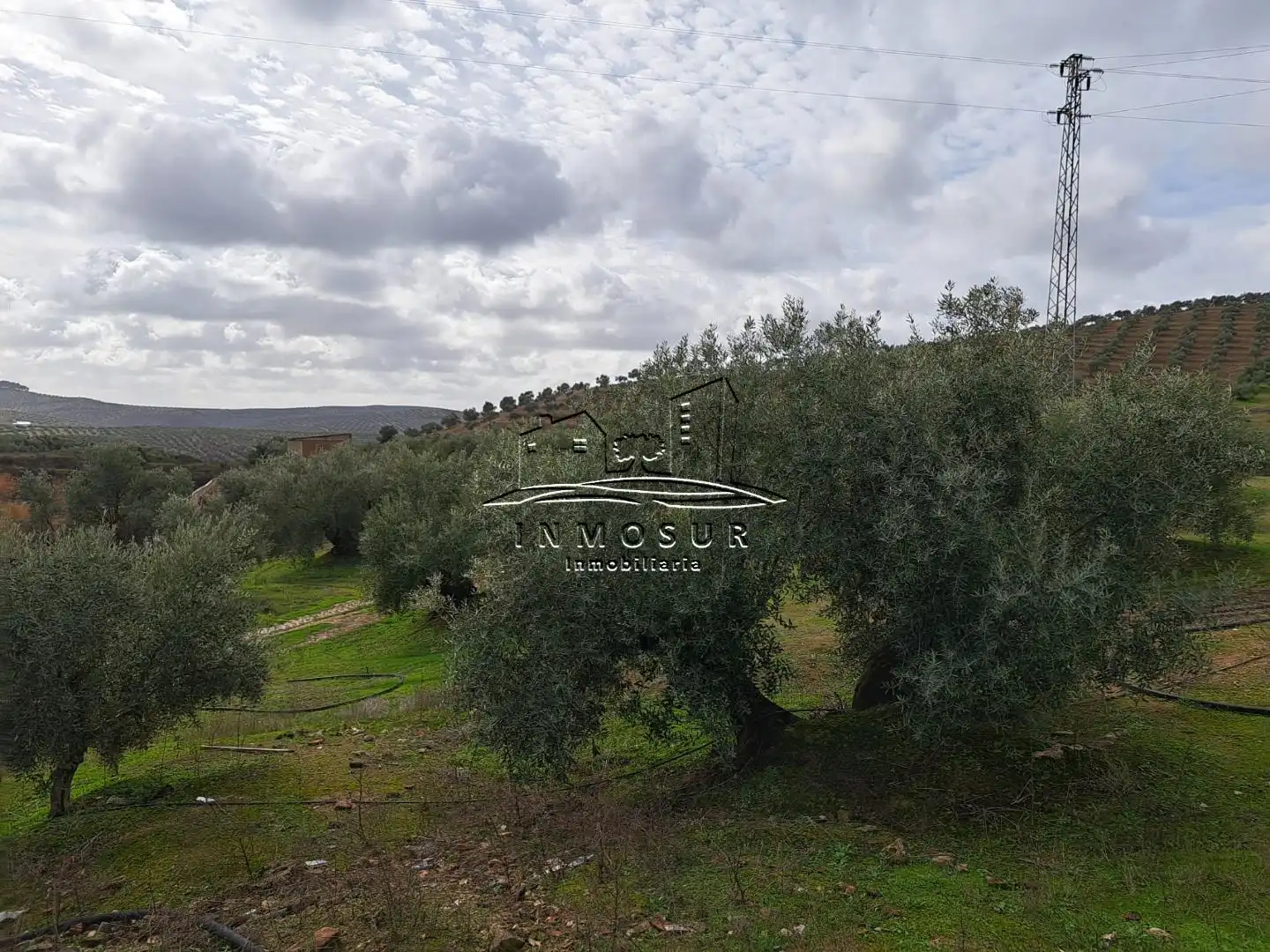 Terrenys i solars en venda a Benamejí, imagen 12