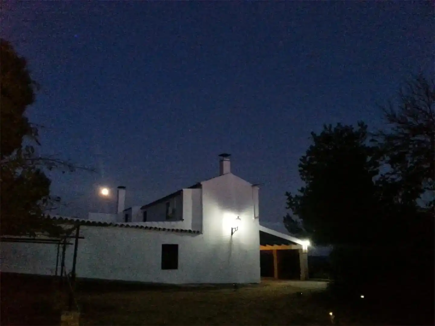 Jardí de Finca rústica en venda en Peñaflor amb Aire condicionat, Jardí privat i Traster