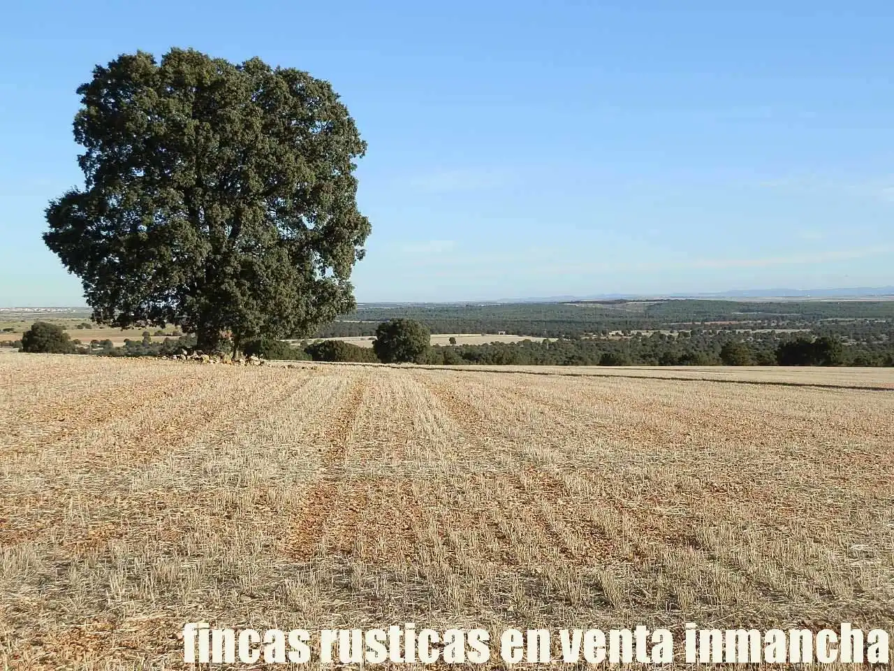 Lands and plots for sale in Ossa de Montiel, imagen 18