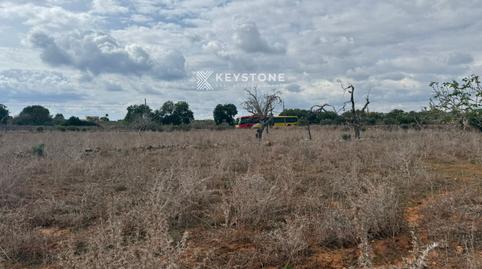 Photo 4 of Land for sale in N/a, Porto Cristo, Manacor