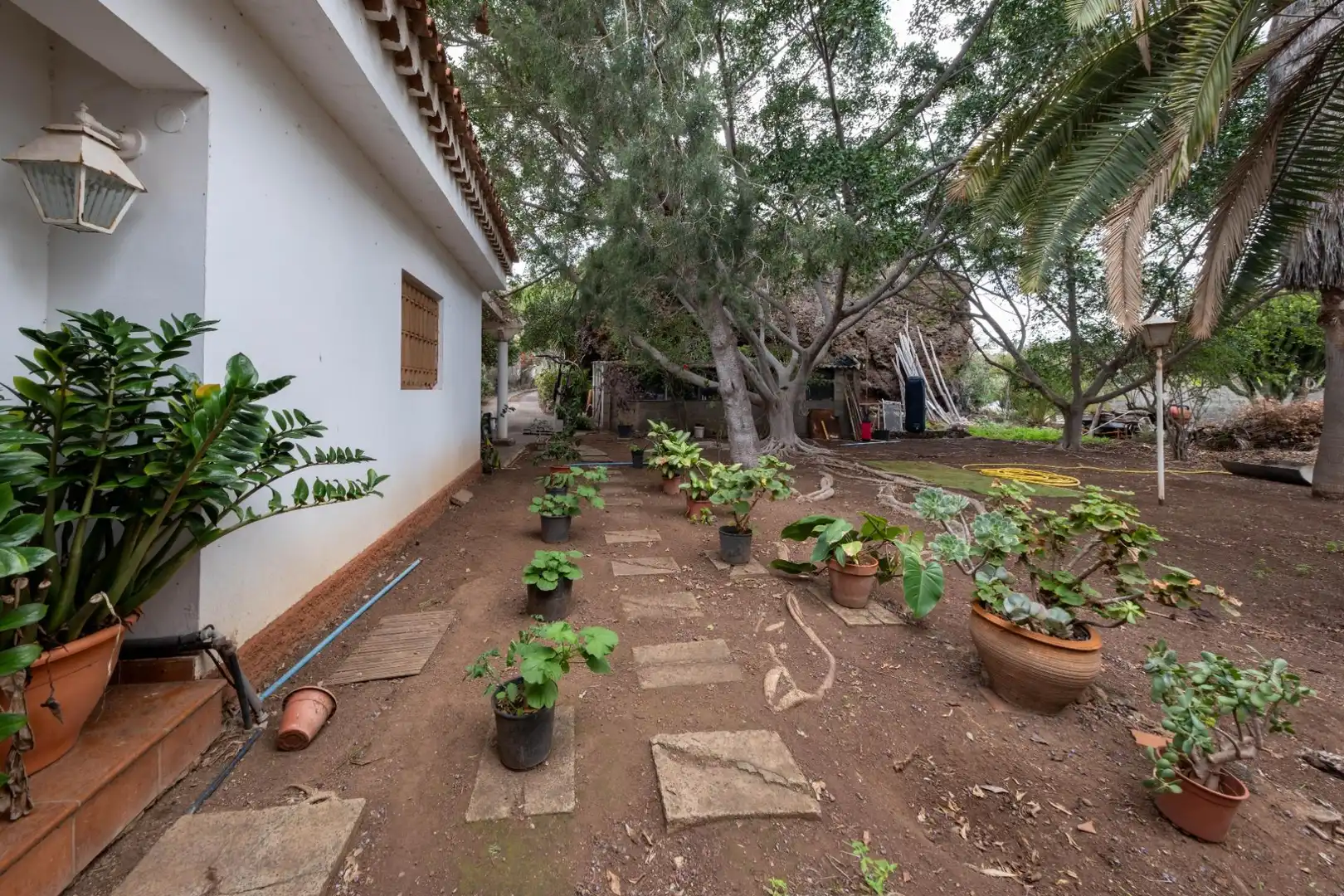 Casa o chalet en venta en Calle FUENTE MORALES, Almatriche