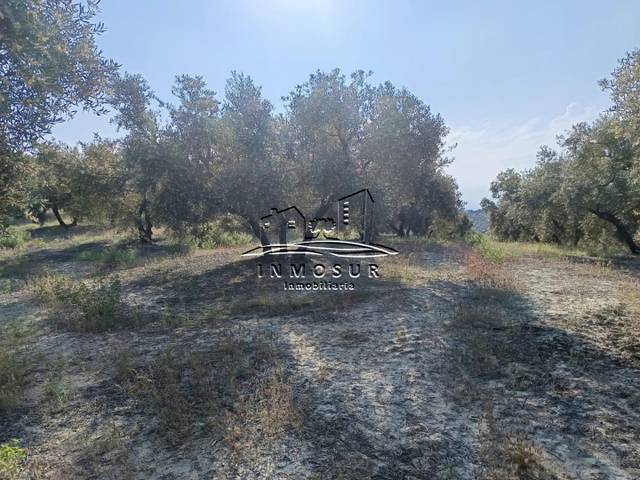 Terreno en Venta en Jauja