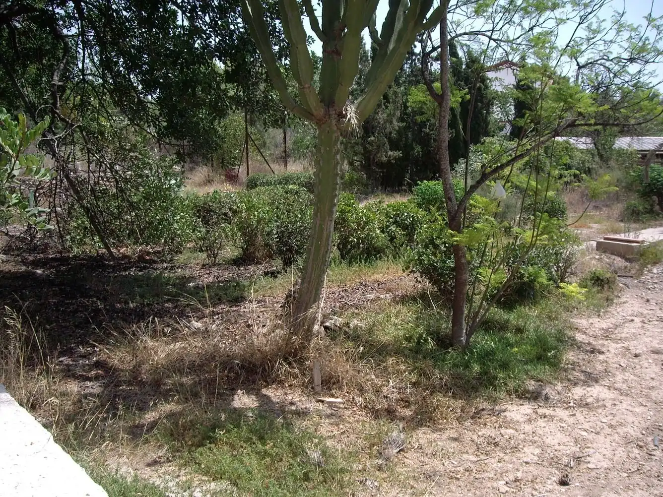 Finca rústica en venda en Alicante / Alacant amb Jardí privat, Terrassa i Traster