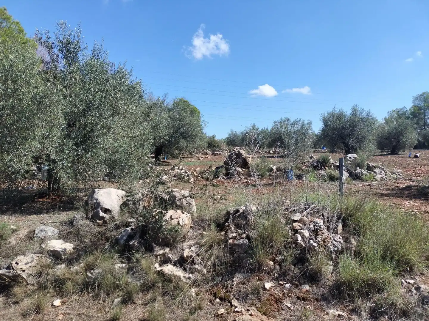 Rustikales Grundstück zum Verkauf in Xàtiva, imagen 9