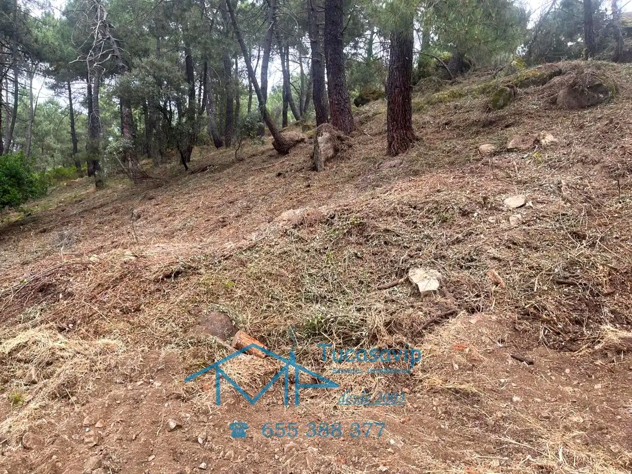 Lands and plots for sale in Cadalso de los Vidrios, imagen 14