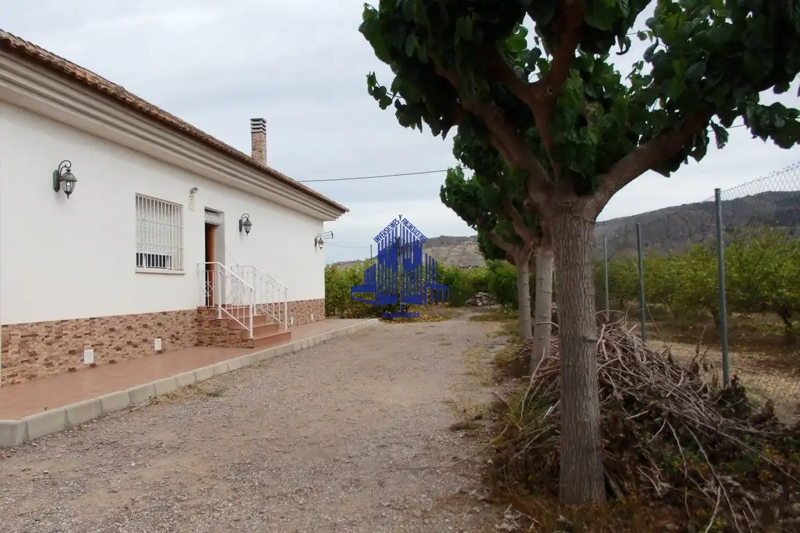 Vista exterior de Casa o chalet en venta en Murcia con Jardín privado, Terraza y Horno