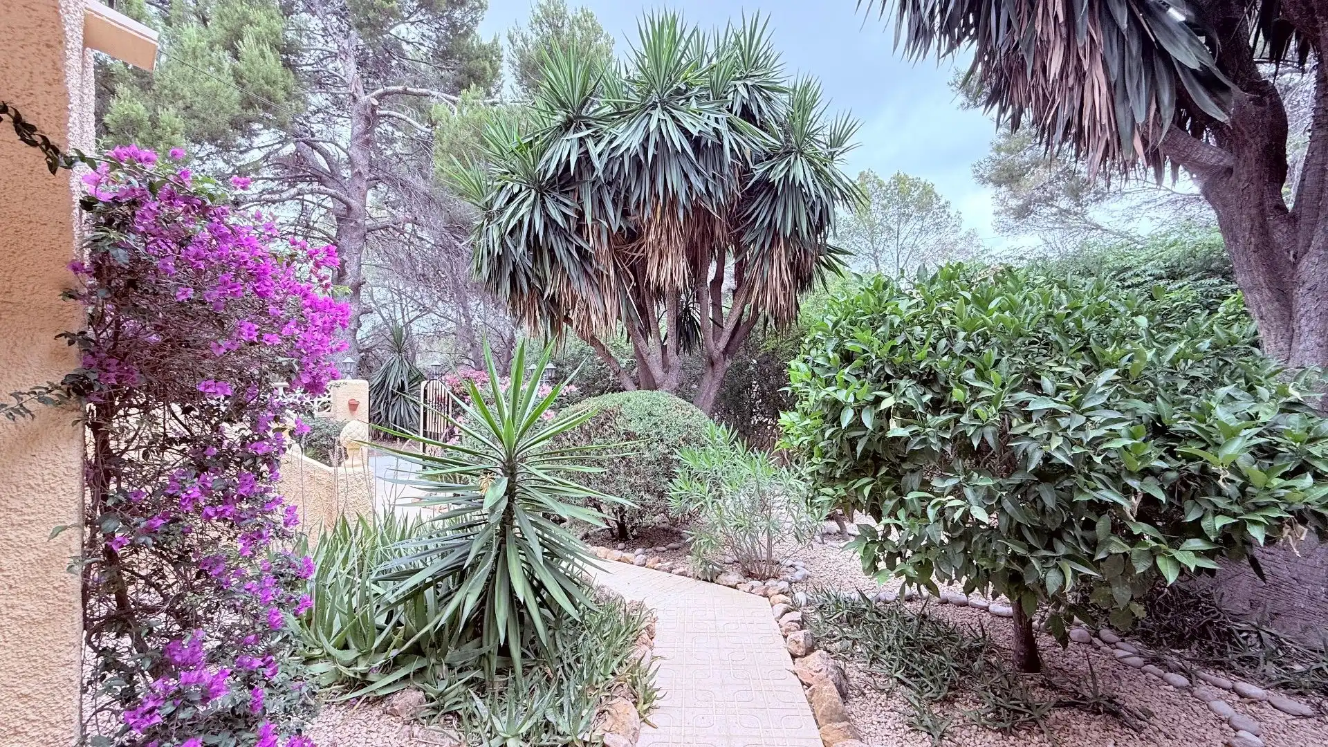 Jardí de Casa o xalet de lloguer en L'Alfàs del Pi amb Aire condicionat, Jardí privat i Piscina