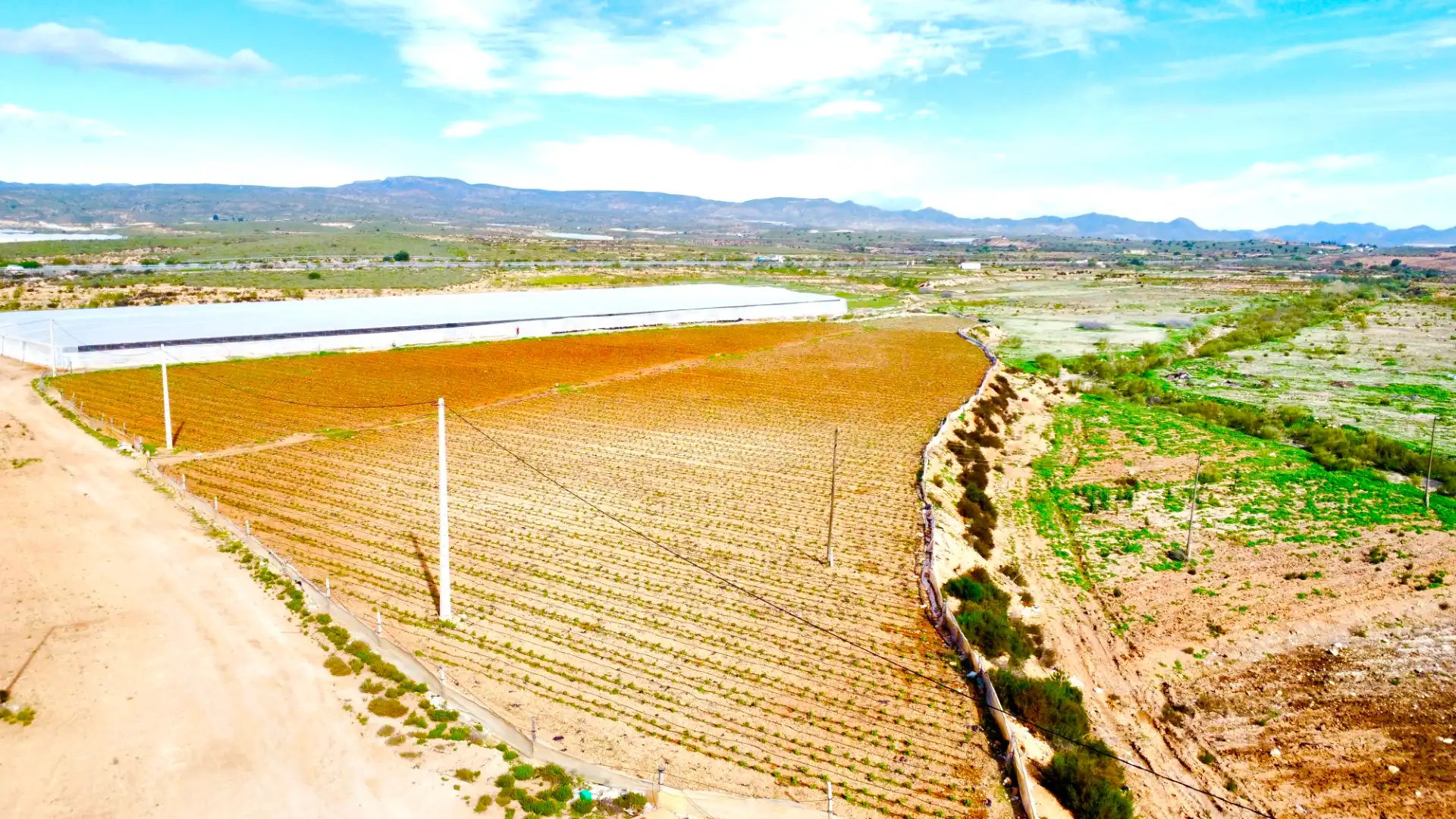 Terreny rústic en venda a Diseminado Saladar y Leche, imagen 15