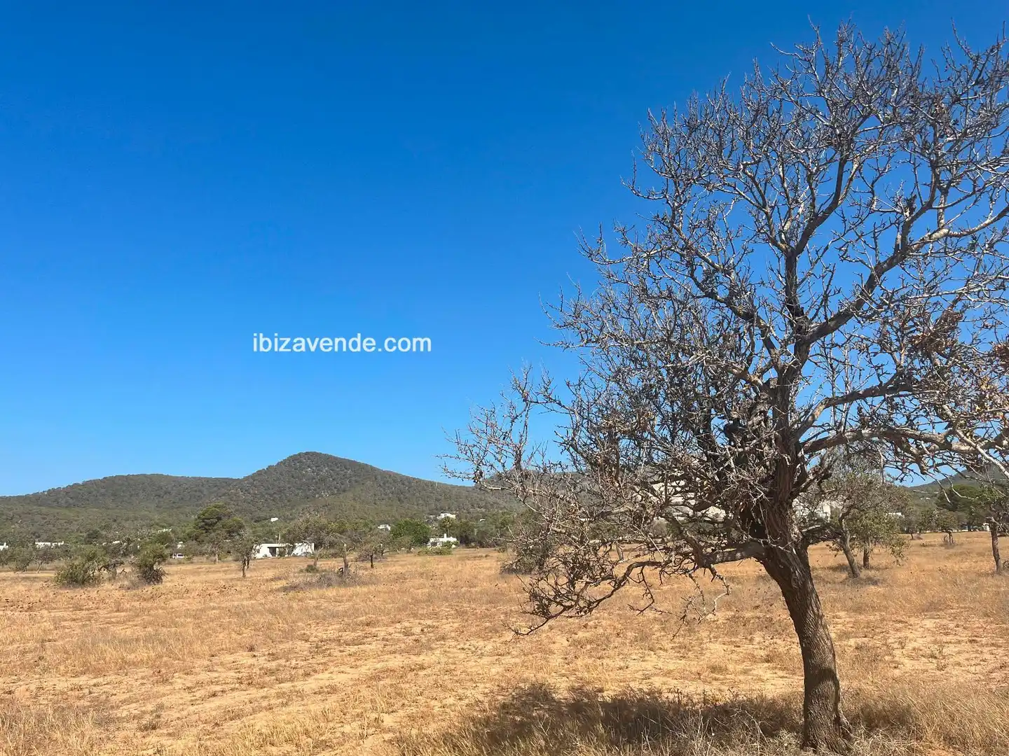 Land for sale in Diseminado de Sa Caleta, Sant Jordi de Ses Salines - Sant Francesc