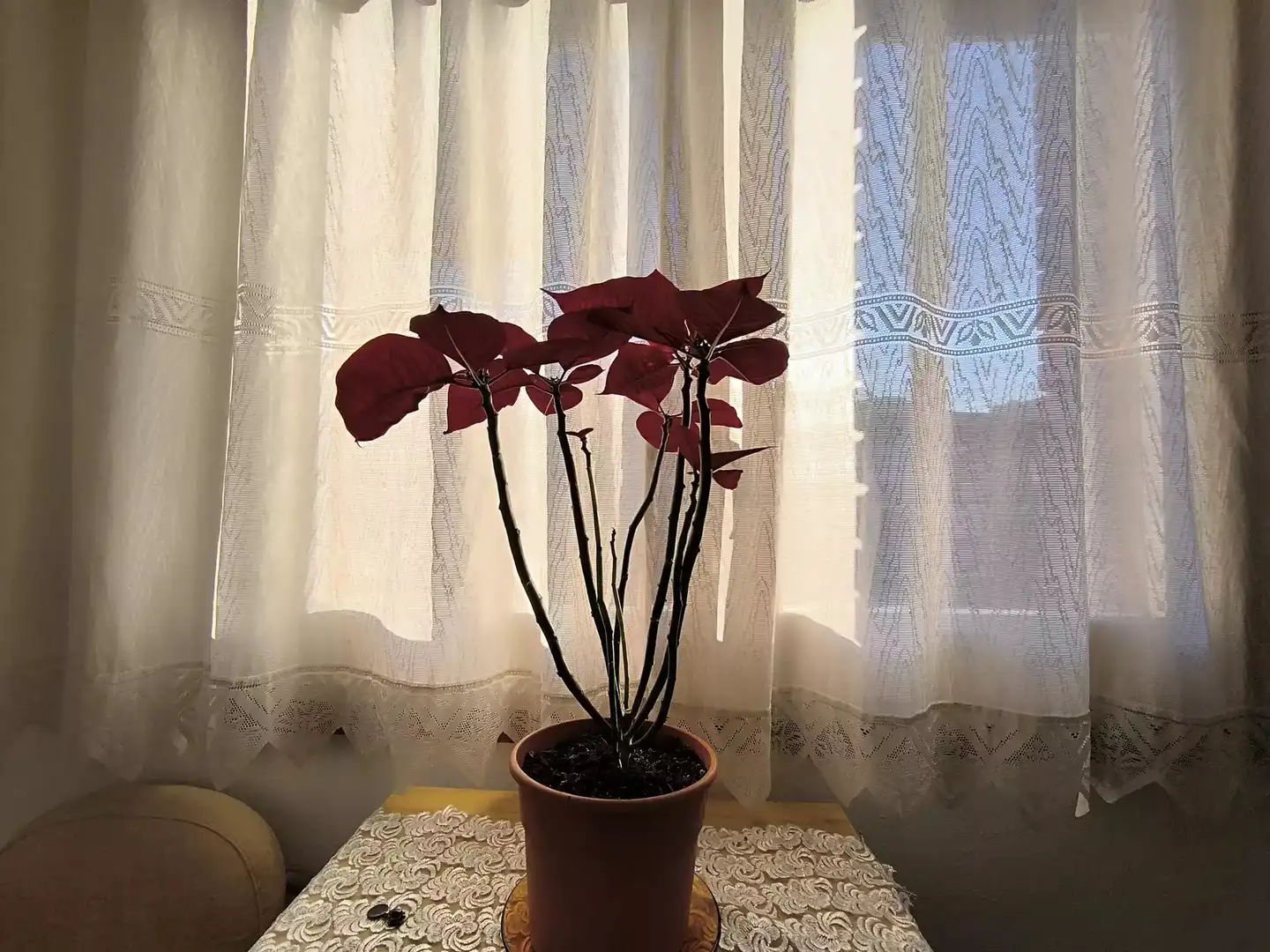 Flat with terrace for sale in Hostalric, imagen 23