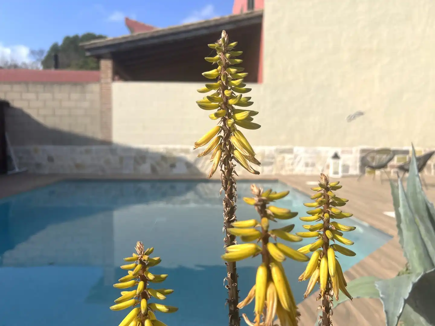 Swimming pool of Houses for sale in L'Armentera  with Heating, Private garden and Terrace