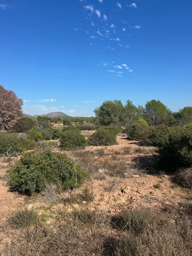 Terreno rustico in vendita a Plaça Poligono N-05.R, imagen 6