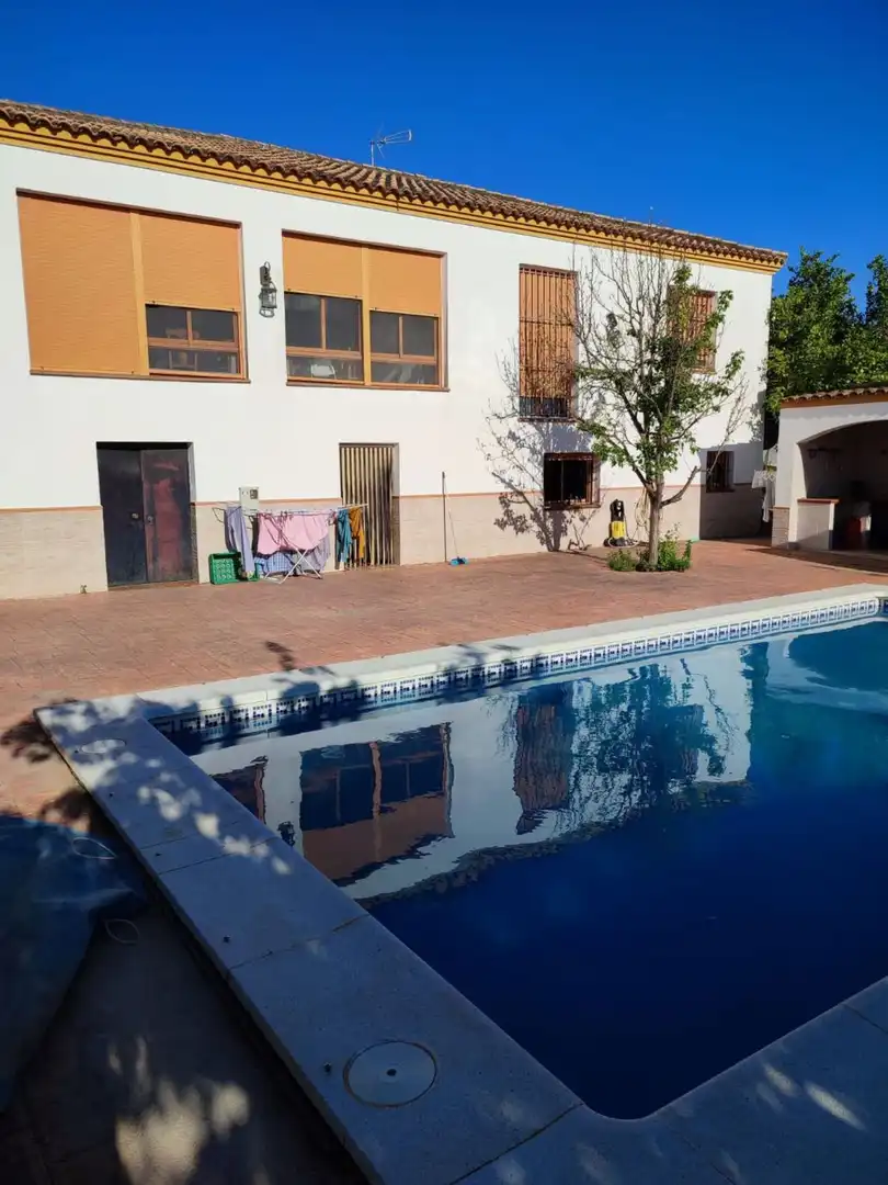 Swimming pool of Houses for sale in Arcos de la Frontera  with Air Conditioner, Terrace and Swimming Pool
