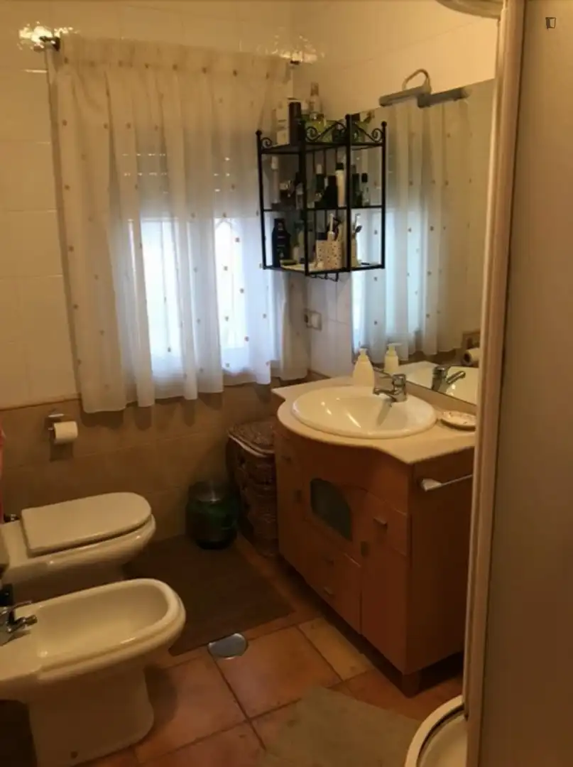 Bany de Apartament per a compartir en Murcia amb Aire condicionat, Calefacció i Moblat