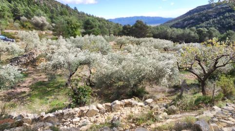 Finca Rúst. en venta en Senia La.