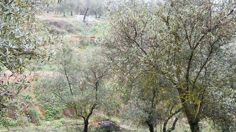 Finca rústica en Peligros  Excelente ubicación y acceso, immagine 5