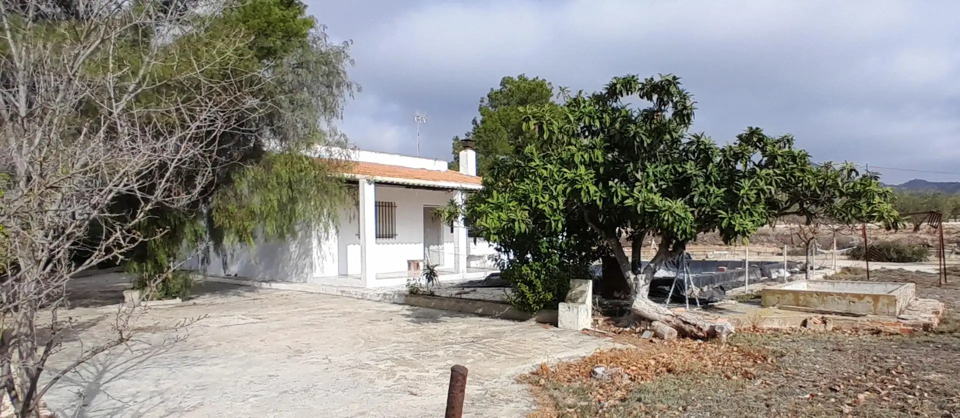 Vista exterior de Casa o xalet en venda en Yecla amb Piscina i Moblat