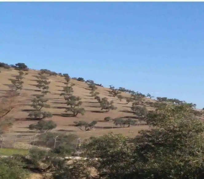 Terreno en venta en La Calzada