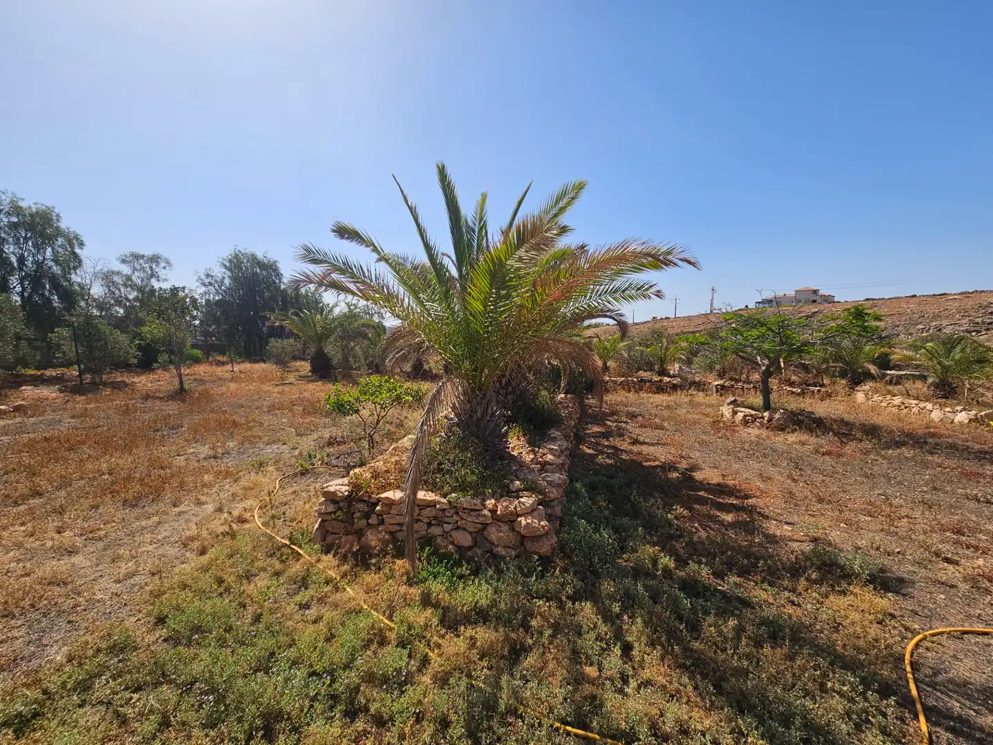 Casa o xalet en venda en Tuineje amb Jardí privat, Terrassa i Traster