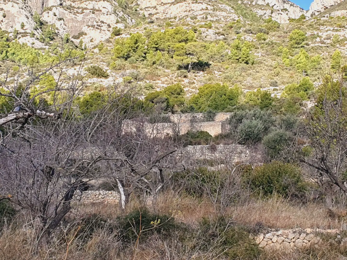 Maison à vendre à El Pinell de Brai, imagen 46