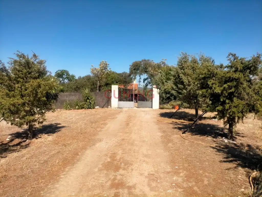 Maison rustique à vendre à Poligono 2 Paraje 95 Dehesa Boyal, imagen 39
