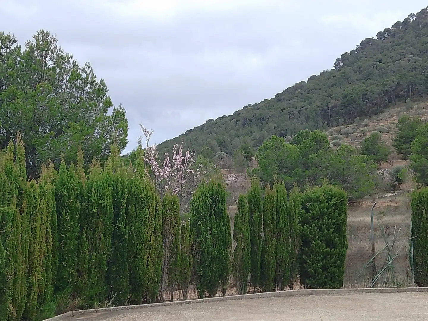 Casa o xalet en venda en Tibi amb Jardí privat, Terrassa i Moblat