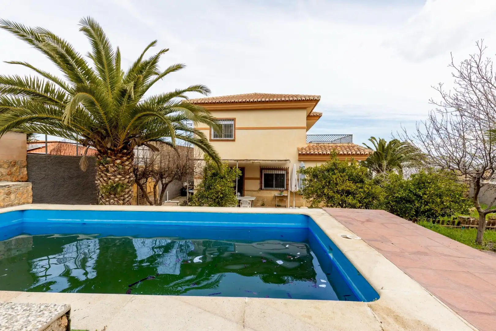 Piscina de Casa o chalet en venta en Escúzar con Terraza y Piscina